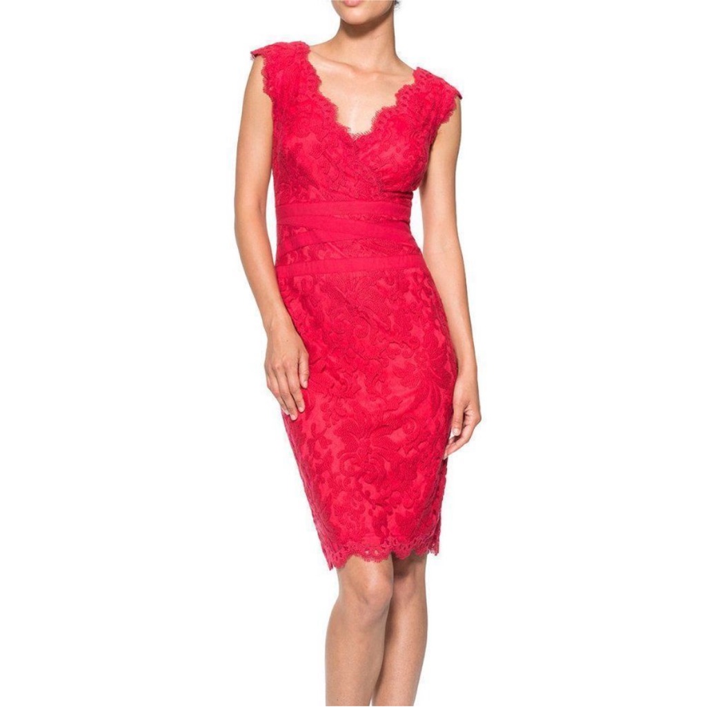 Euc Tadashi Shoji Embroidered Lace V-Neck Dress -4p